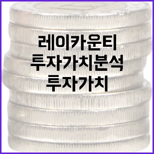 레이카운티, 투자 가치 분석과 접근 방법 - 요약