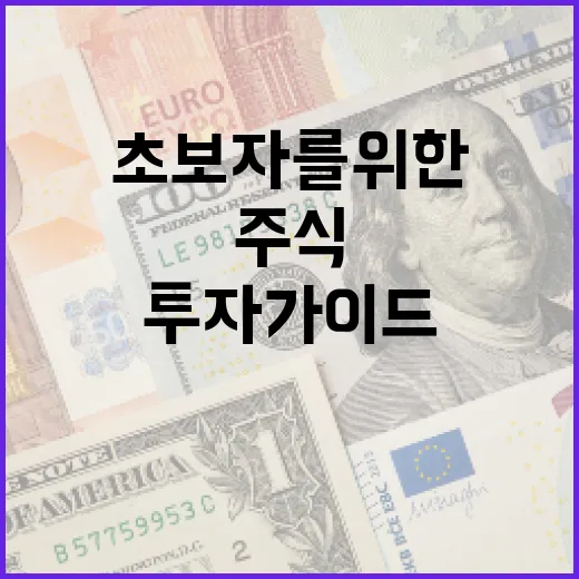 하이닉스 주식, 초보자를 위한 투자 가이드 - 요약