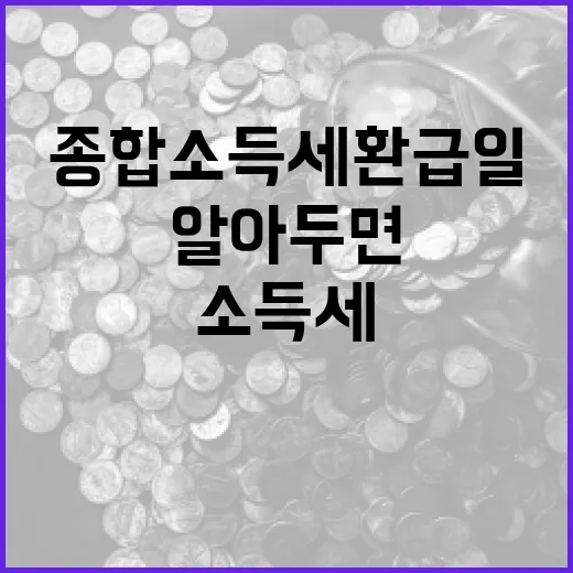 종합소득세 환급일, 알아두면 좋은 팁 - 요약