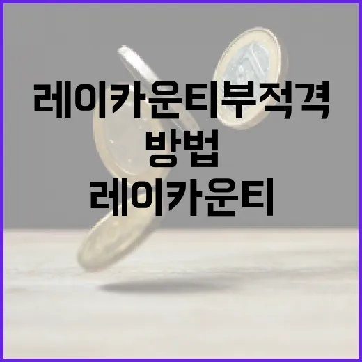 레이카운티 부적격 문제 해결 방법 - 요약