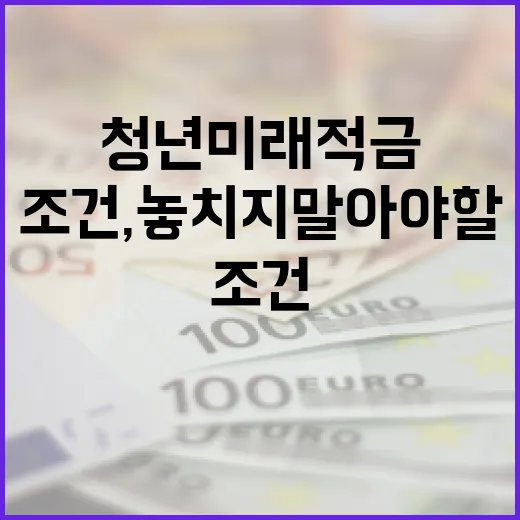 청년미래적금 조건, 놓치지 말아야 할 것들 - 요약