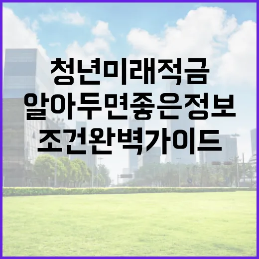 청년미래적금 조건 완벽 가이드: 알아두면 좋은 정보들 - 요약