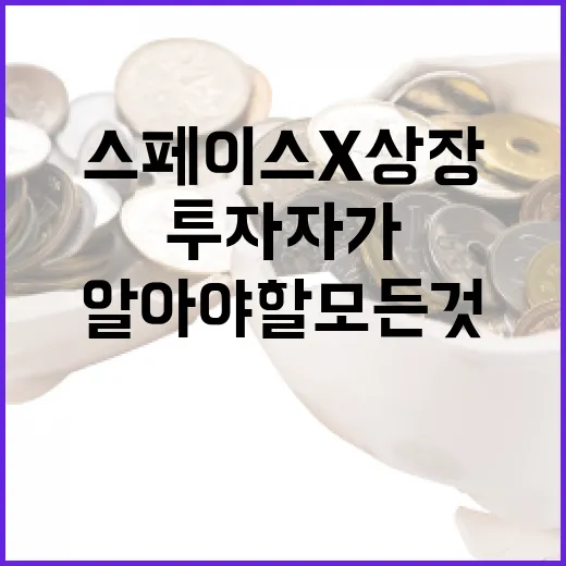 스페이스X 상장: 투자자가 알아야 할 모든 것 - 요약