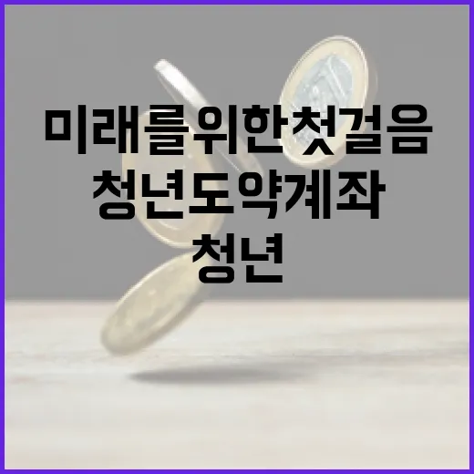 청년도약계좌, 당신의 미래를 위한 첫 걸음 - 요약