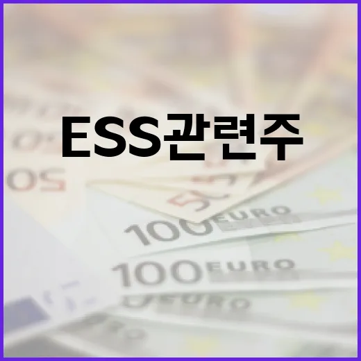 ESS 관련주에 투자하는 방법: 알아두면 좋은 팁 - 요약