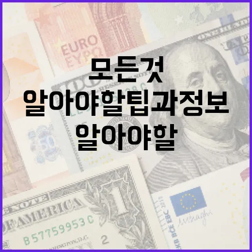 서울시장에 대한 모…