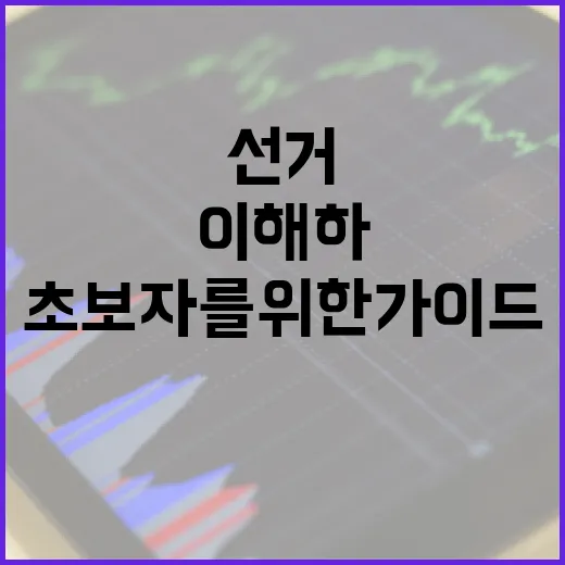 선거를 이해하는 방법: 초보자를 위한 가이드 - 요약