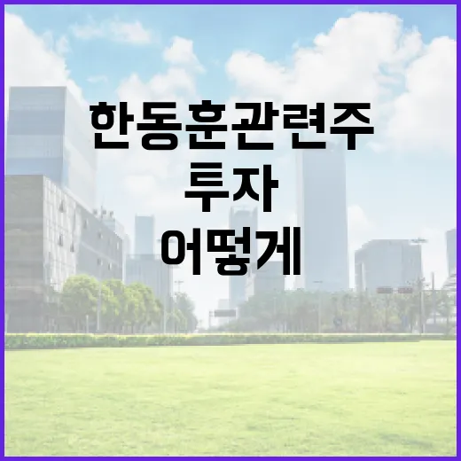 한동훈 관련주, 어떻게 투자할까? - 요약