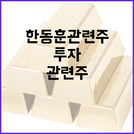 한동훈 관련주에 투자하는 방법 - 요약