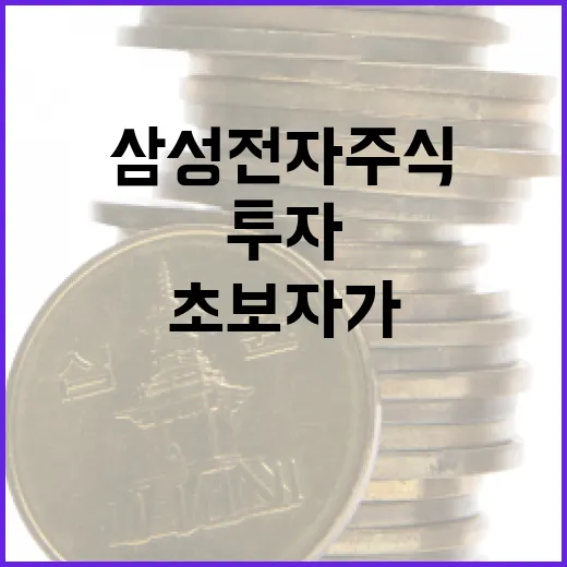 삼성전자 주식, 초보자가 알아야 할 투자 팁 - 요약