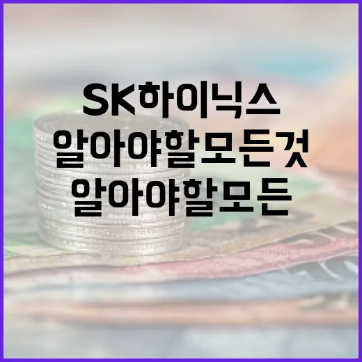 SK하이닉스에 대해 알아야 할 모든 것 - 요약