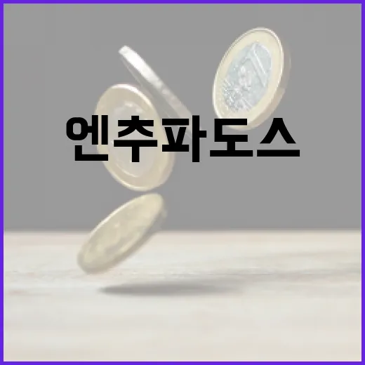 엔추파도스를 이해하고 활용하는 방법 - 요약