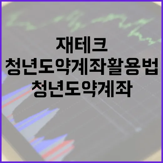 청년도약계좌 활용법: 젊은 날의 재테크 시작 - 요약