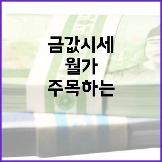 금값 시세 전망: 월가가 주목하는 이유 - 요약