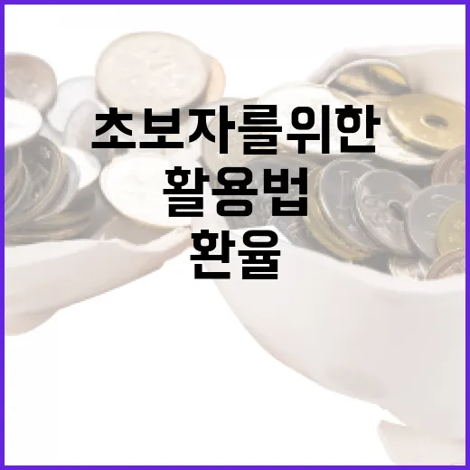 미국환율, 초보자를 위한 이해와 활용법 - 요약