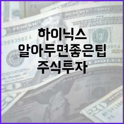하이닉스 주식 투자: 알아두면 좋은 팁 - 요약