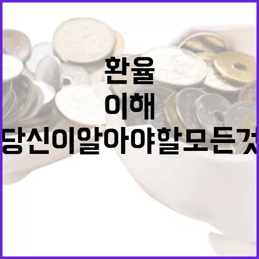 미국 환율 이해하기: 당신이 알아야 할 모든 것 - 요약