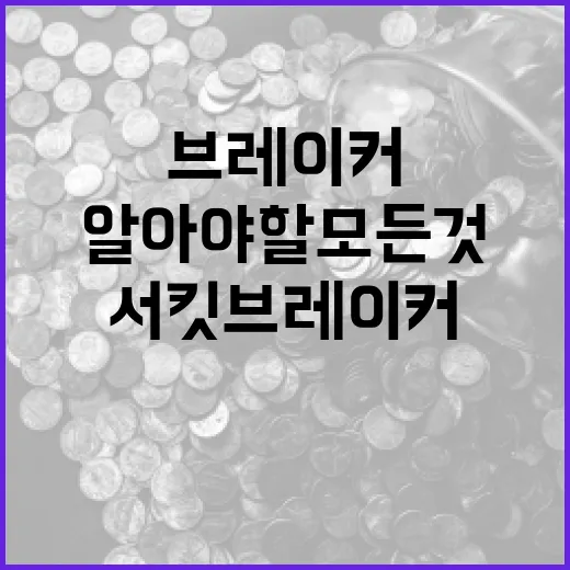 서킷브레이커에 대해 알아야 할 모든 것 - 요약