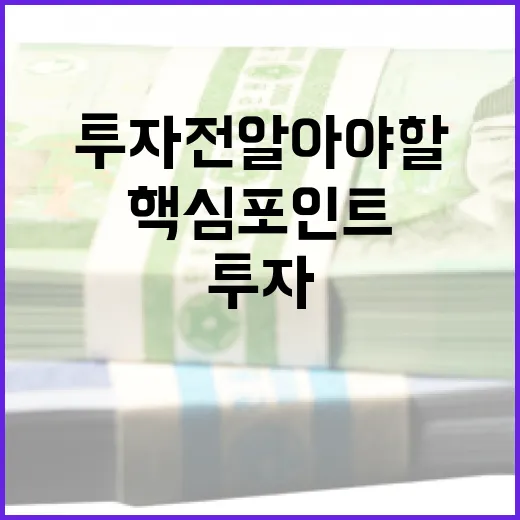 이노홀딩스를 이해하는 방법: 투자 전 알아야 할 핵심 포인트 - 요약
