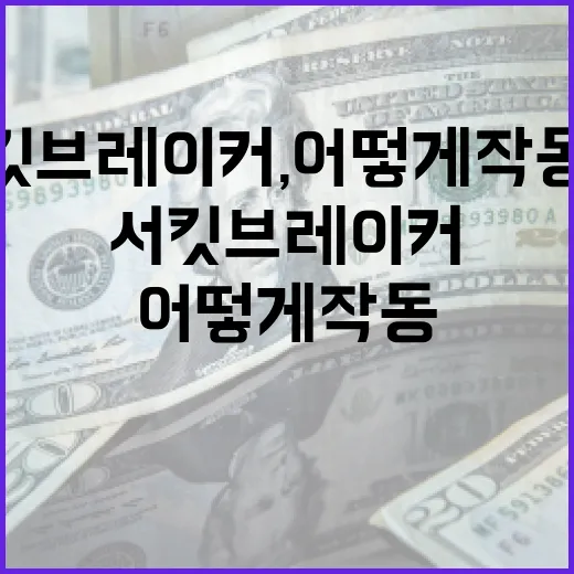 서킷브레이커, 어떻게 작동하고 왜 중요한가? - 요약