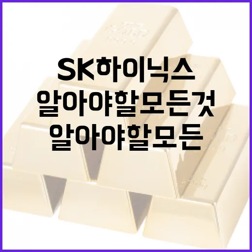 SK하이닉스에 대해 알아야 할 모든 것 - 요약