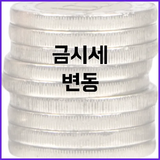 금시세 변동을 이해하는 방법: 초보자를 위한 가이드 - 요약