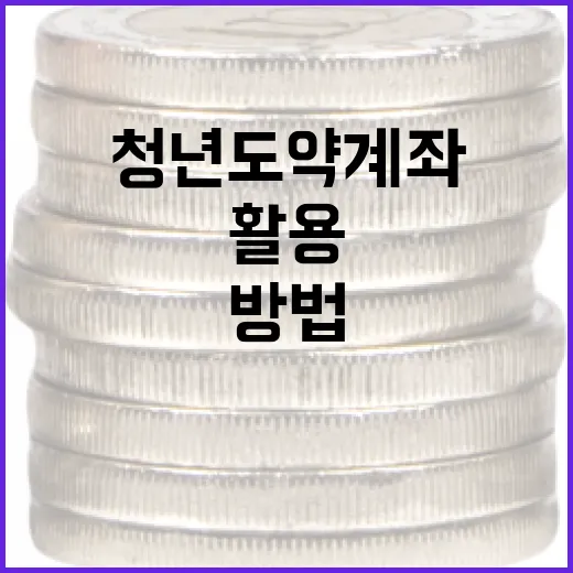 청년도약계좌를 효과적으로 활용하는 방법 - 요약