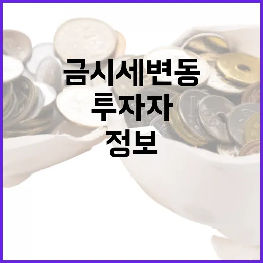 금시세 변동에 대처하는 방법: 투자자의 필수 정보 - 요약