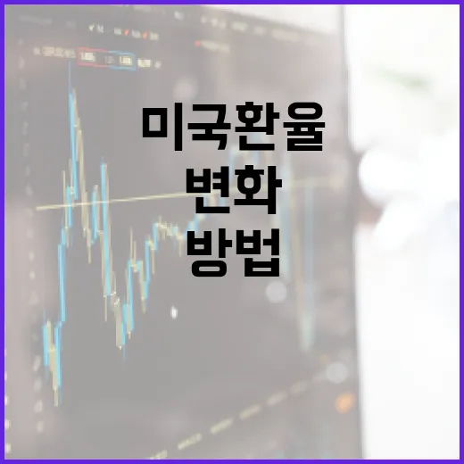 미국환율 변화에 대처하는 방법 - 요약