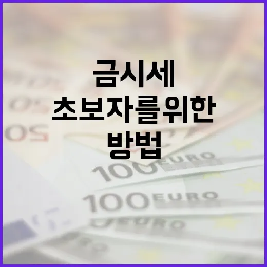 금시세를 이해하는 방법: 초보자를 위한 안내 - 요약