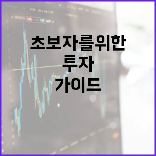 하이닉스 투자, 초보자를 위한 이해하기 쉬운 가이드 - 요약