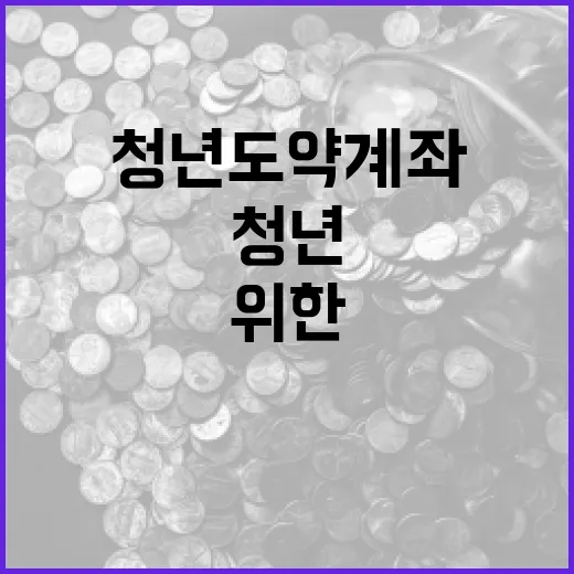 청년도약계좌, 청년을 위한 똑똑한 금융 전략 - 요약