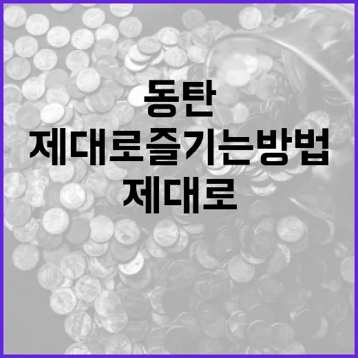 동탄 C27의 매력을 제대로 즐기는 방법 - 요약