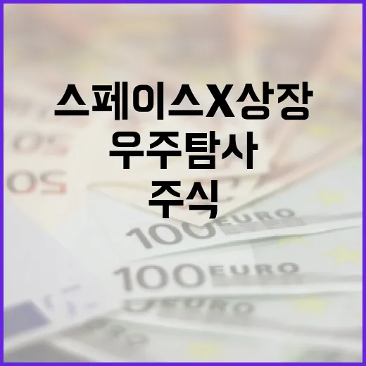 스페이스X 상장: 우주 탐사를 주식 시장에서도 경험하려면? - 요약