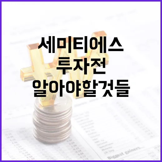 세미티에스(Semitess) 이해하기: 투자 전 알아야 할 것들 - 요약