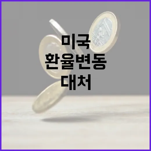 미국환율 변동에 대처하는 방법 - 요약