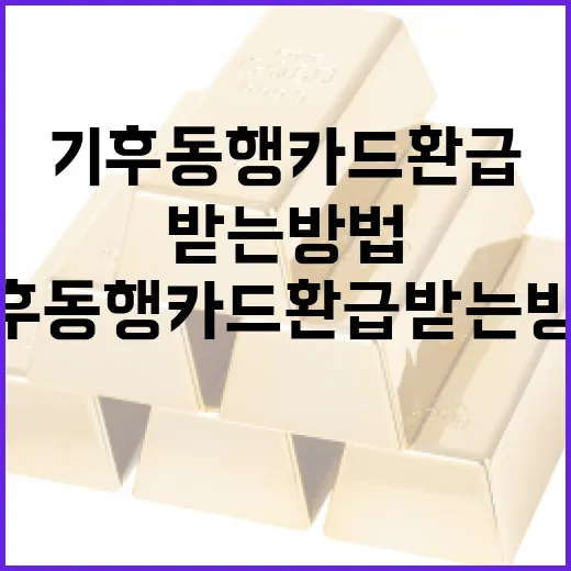 기후동행카드 환급받는 방법: 알아두면 돈이 된다 - 요약