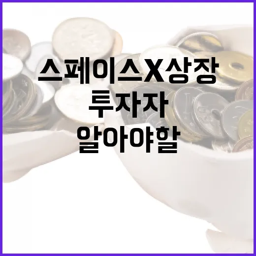 스페이스X 상장, 투자자들이 알아야 할 점 - 요약