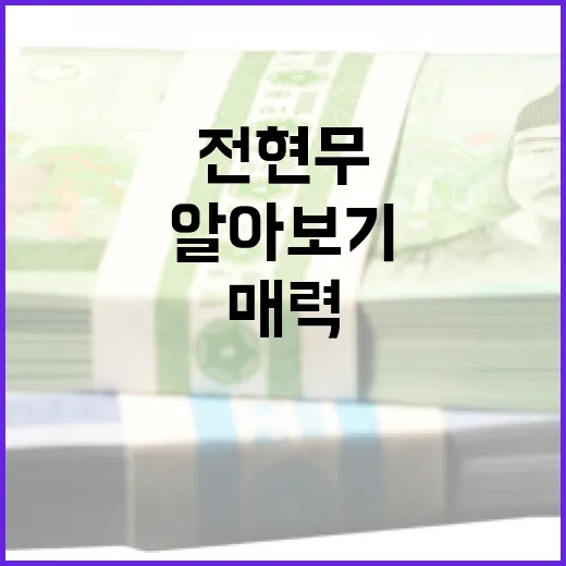 전현무의 집, 그 특별한 매력 알아보기 - 요약