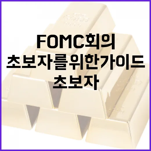 FOMC 회의 이해하기: 초보자를 위한 가이드 - 요약