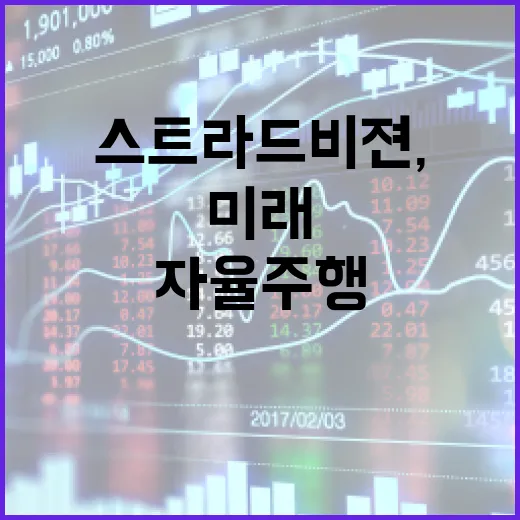 스트라드비젼, 자율주행의 미래를 여는 방법 - 요약
