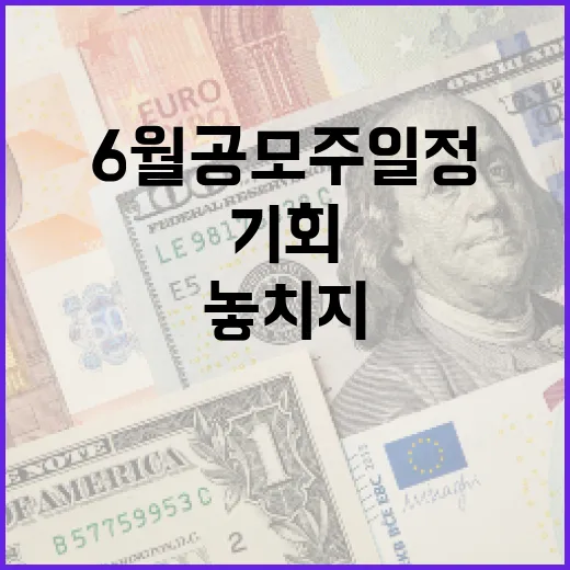 6월 공모주 일정: 기회를 놓치지 않는 방법 - 요약