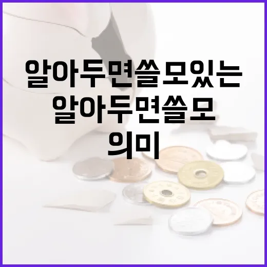 알아두면 쓸모있는 문조털래유의 의미 - 요약