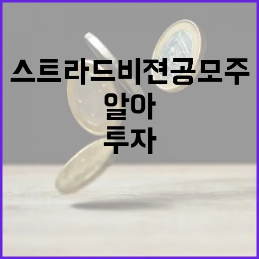 스트라드비젼 공모주 투자하기: 알아두면 좋은 팁 - 요약
