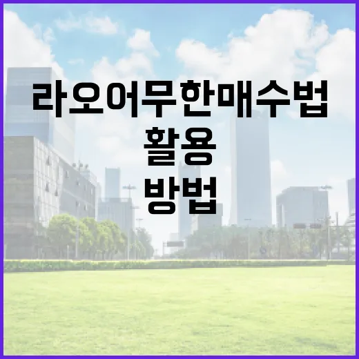 라오어 무한매수법 제대로 활용하는 방법 - 요약