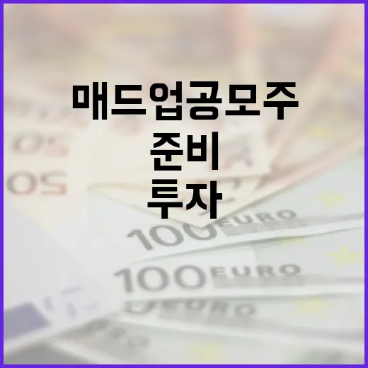 매드업 공모주 투자, 이렇게 준비하세요 - 요약