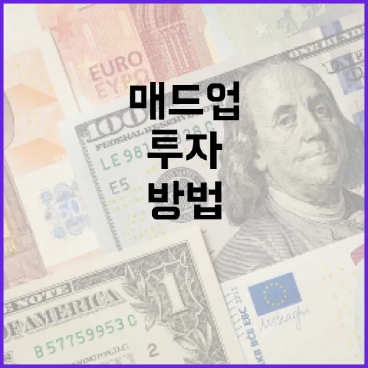 매드업으로 투자 수익 극대화하는 방법 - 요약