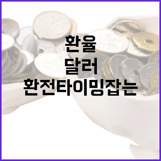 달러환율 초보자가 매수·환전 타이밍 잡는 방법 - 요약