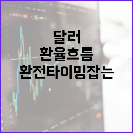 달러환율 흐름을 보고 환전 타이밍 잡는 방법 - 요약