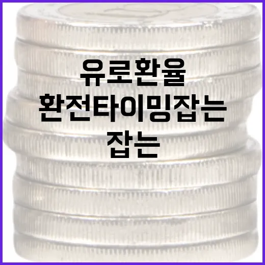유로환율 확인하고 환전 타이밍 잡는 방법 - 요약